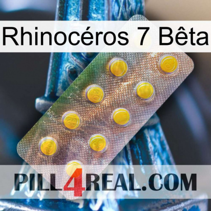 Rhinocéros 7 Bêta new11